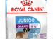 Корм для собак royal canin 3,5 кг. Новый