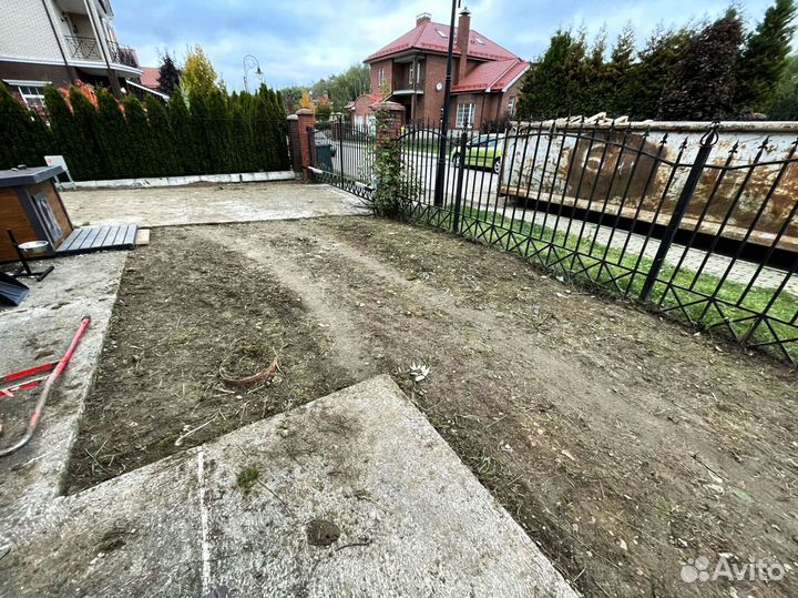 Рулонный газон 