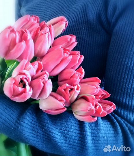 Тюльпаны срезка