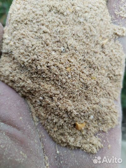 Корм кукурузный