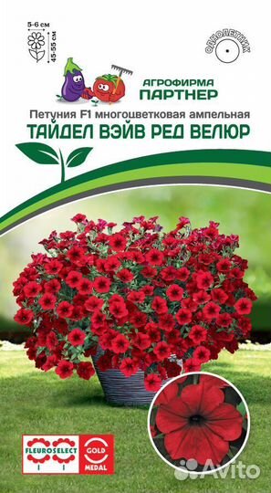 Рассада петунии тайдал