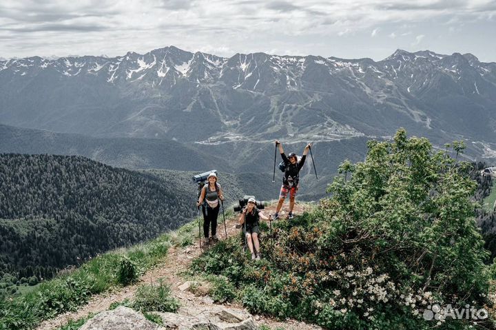 Аренда треккинговых палок для горного похода