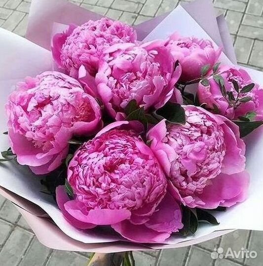 Пионы Розы Доставка