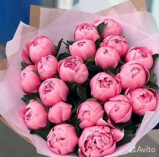 Пионы Цветы Доставка