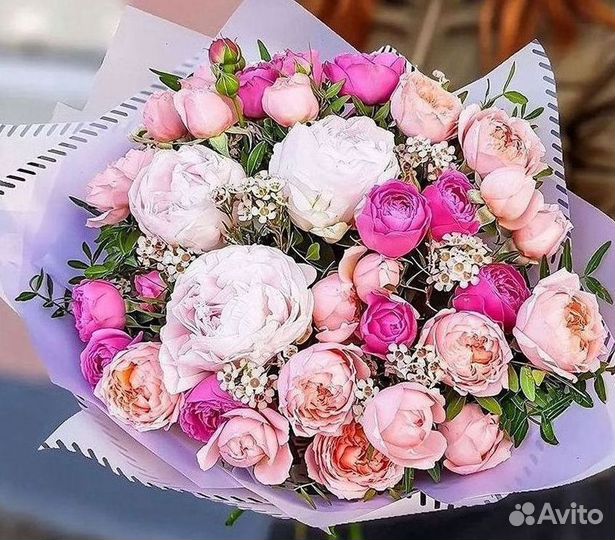 Пионы Цветы Доставка