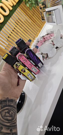 Ошейники и поводок-рулетка