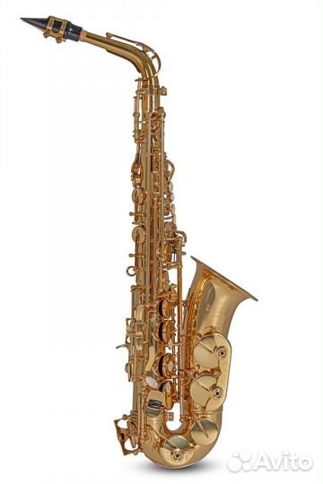 Саксофон альт Roy Benson AS-302