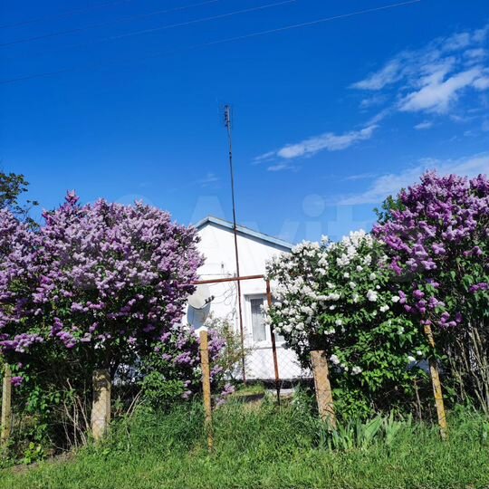 Дом 62,8 м² на участке 20 сот.