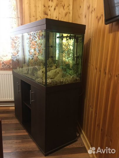 Аквариум с тумбой 240л