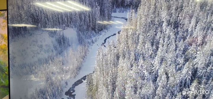 Телевизор xiaomi mi tv a 55