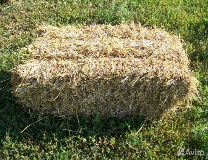 Сено в тюках