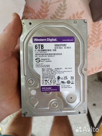 Ивная память