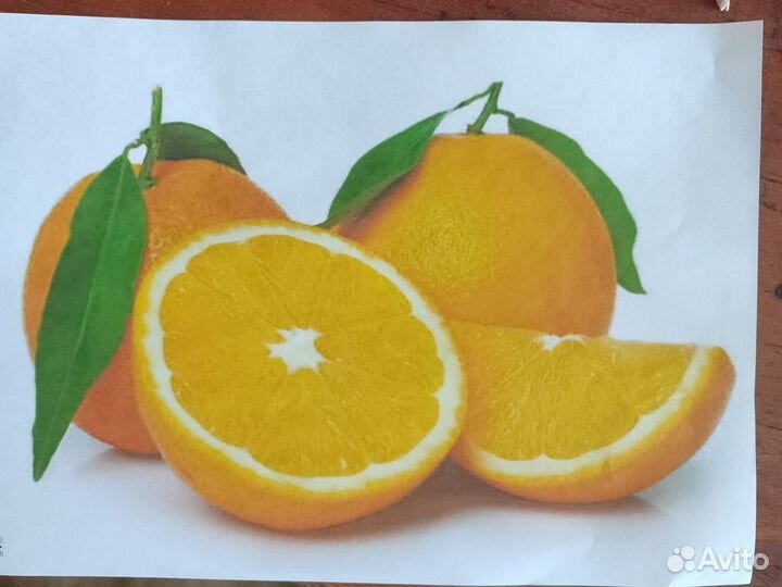 Canon pixma g3400 wifi