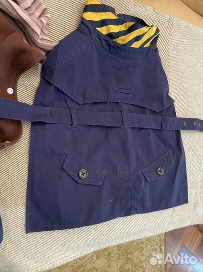 Одежда для лысой собаки