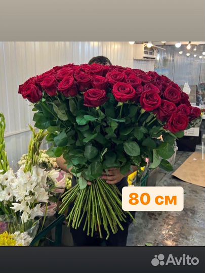 Розы эквадор 80 см Астрахань