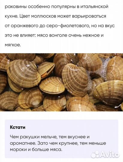 Клеммы вонголе