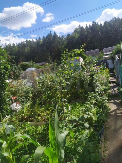 Дом 36 м² на участке 4 сот.