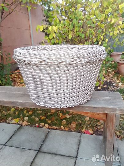 Миниклумба для цветов