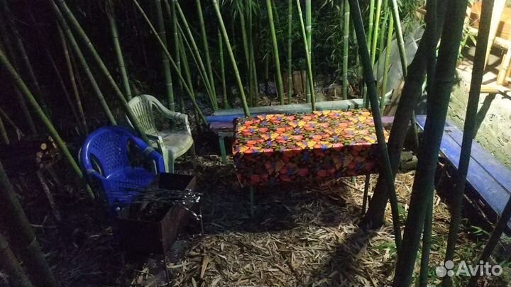 Отдых на черном море