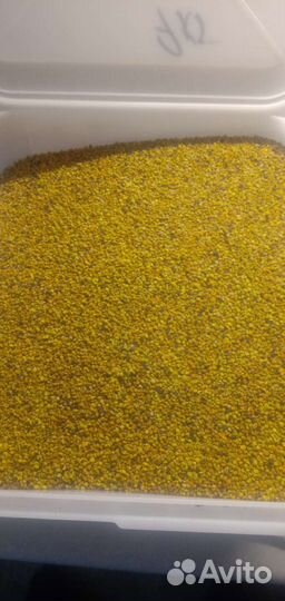 Пыльца пчелиная