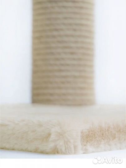 Когтеточка