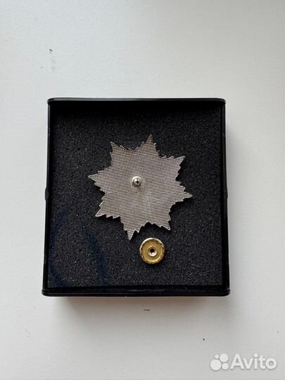 Знак 40 лет Оперативное управление фсо России