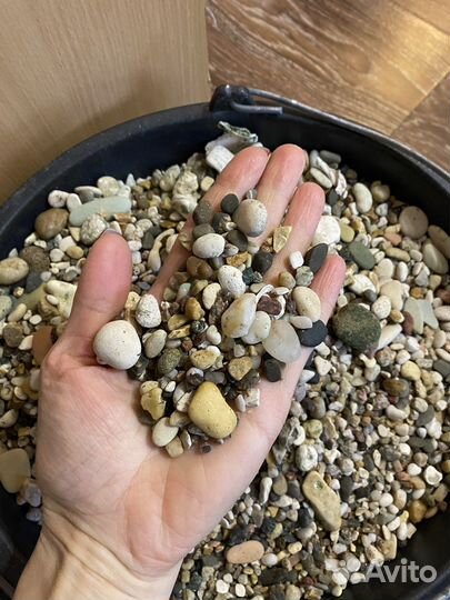 Фильтр tetra компрессор sera оборудование