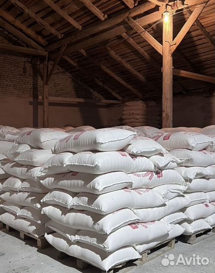 Мука пшеничная оптом