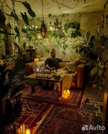 Приют для домашних растений