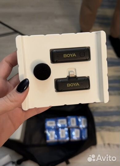 Софтбокс аренда