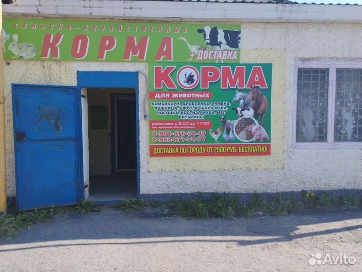 Корма на ковровой