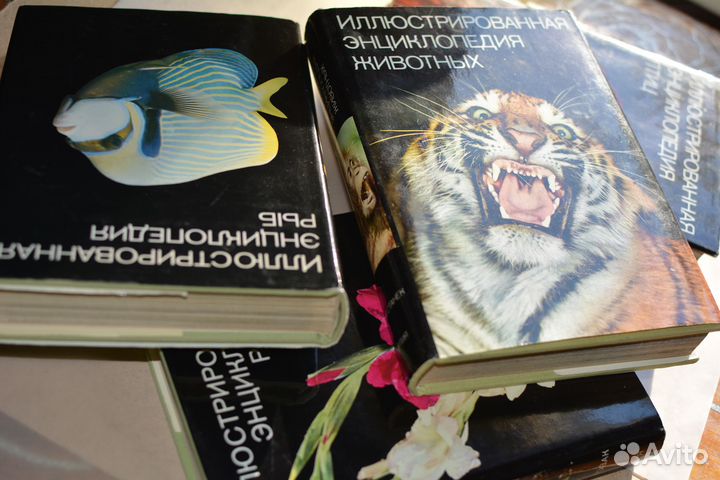 Книги иллюстрированная энциклопедия