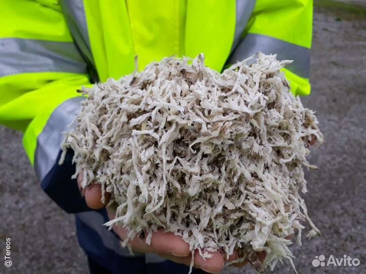 Свекольный жом