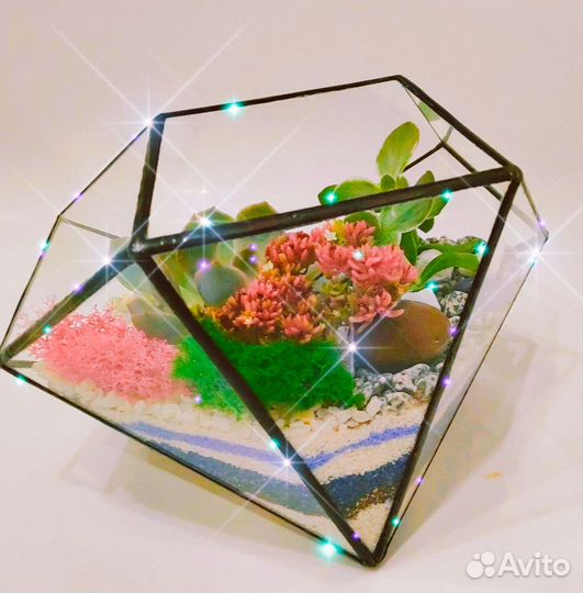 Флорариум, суккуленты, подарок