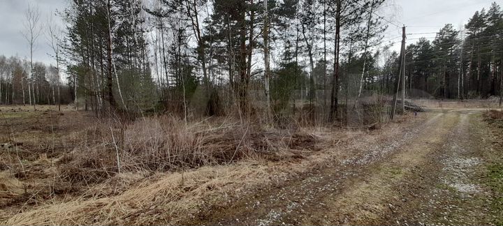 Участок 8 сот. (СНТ, ДНП)