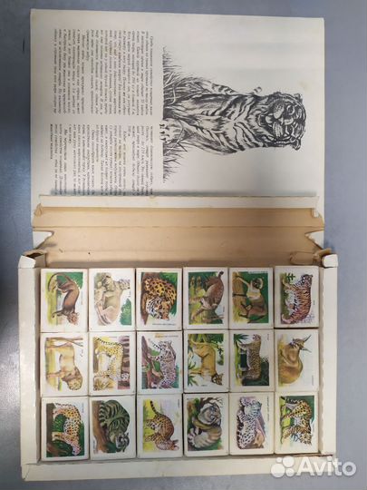 Сувенирный набор спичек