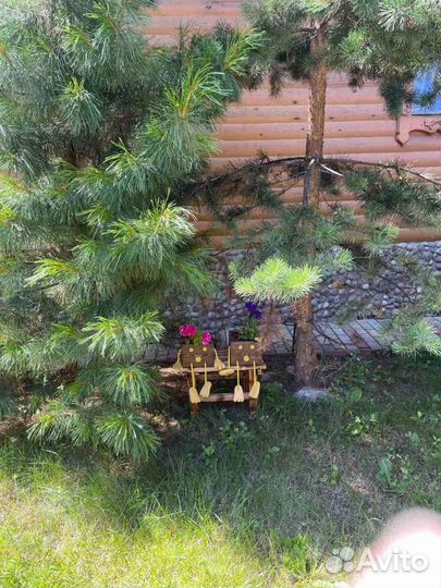 Кашпо клумба