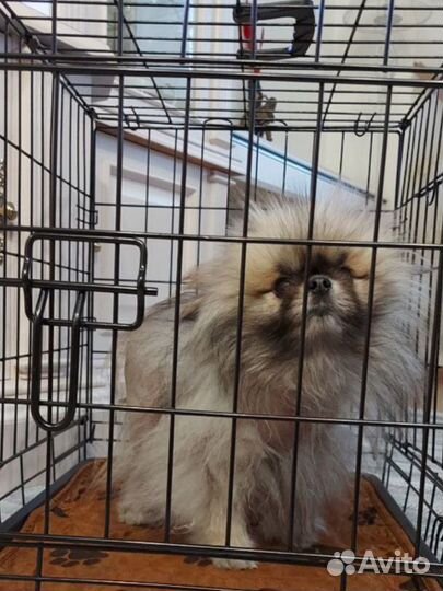 Клетка для животных, 2 двери, 76*59*51 см