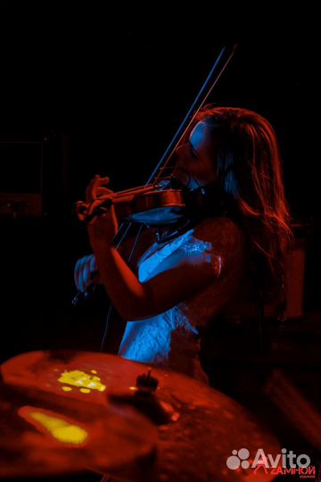 Скрипка на мероприятие
