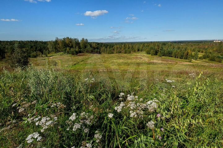 Участок 1,05 га (ИЖС)