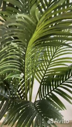 Пальма 160 см 17 листьев
