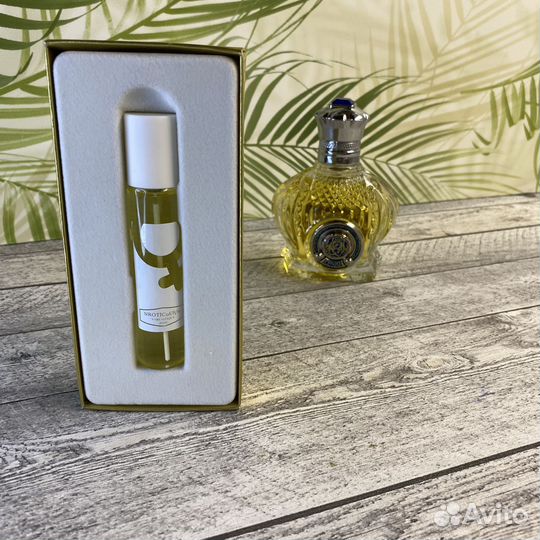 Shaik Chic N0 30 Shaik (3032) 25ml