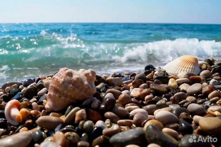 Отдых на Чёрном море в Лермонтово