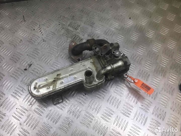 Радиатор EGR Сеат Альтея 03g131513j Bkd