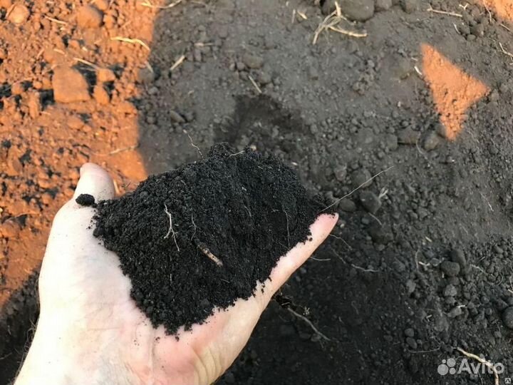 Купить чернозем