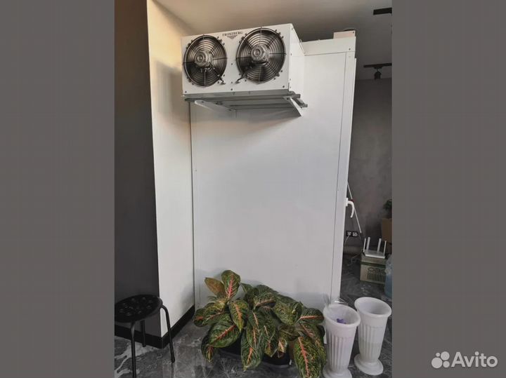 Холодильники для цветов (цветочные камеры)