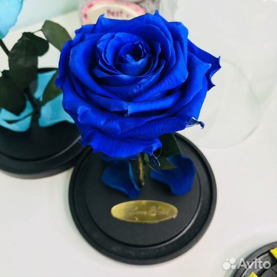 Роза в колбе синяя