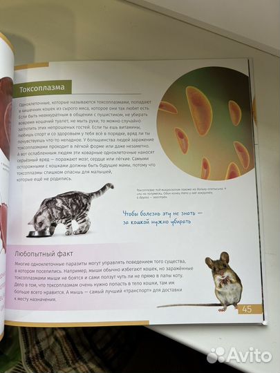 Книга Невидимый мир и набор микромир