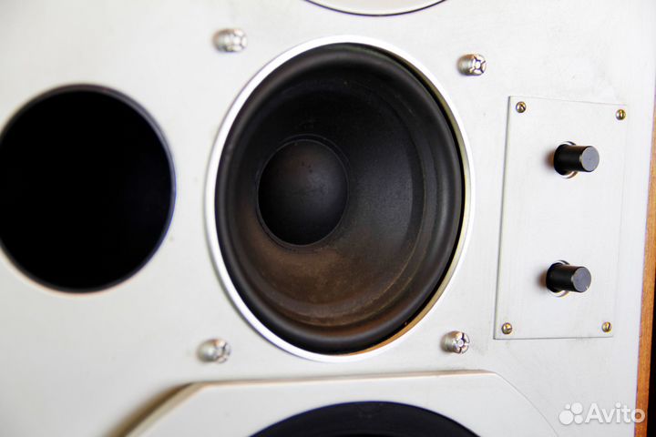 Акустика Technics SB-X5 твикнутая мастером