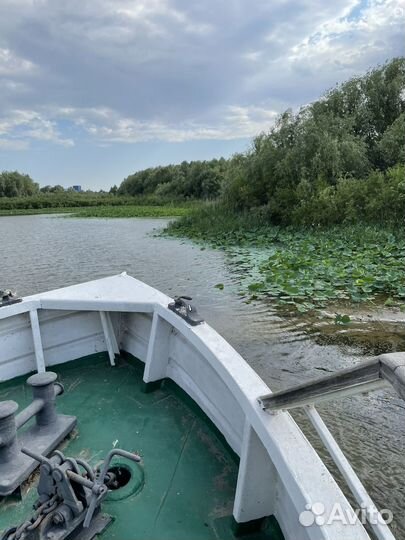 Река корабль праздник лотосы прогулки